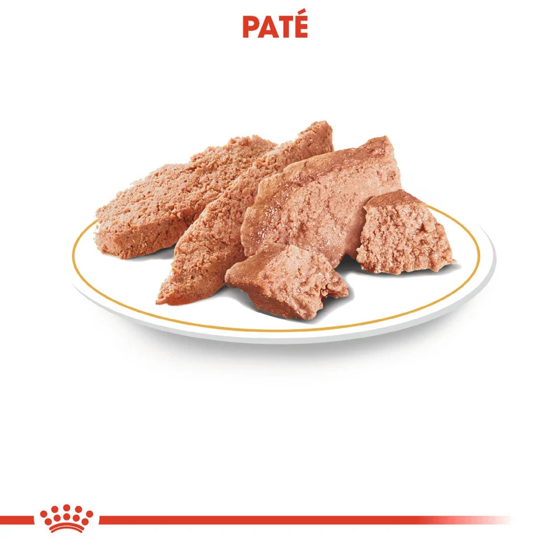 Royal Canin Yorkshire Paté Adulto 85 g Comida Húmeda para Perros