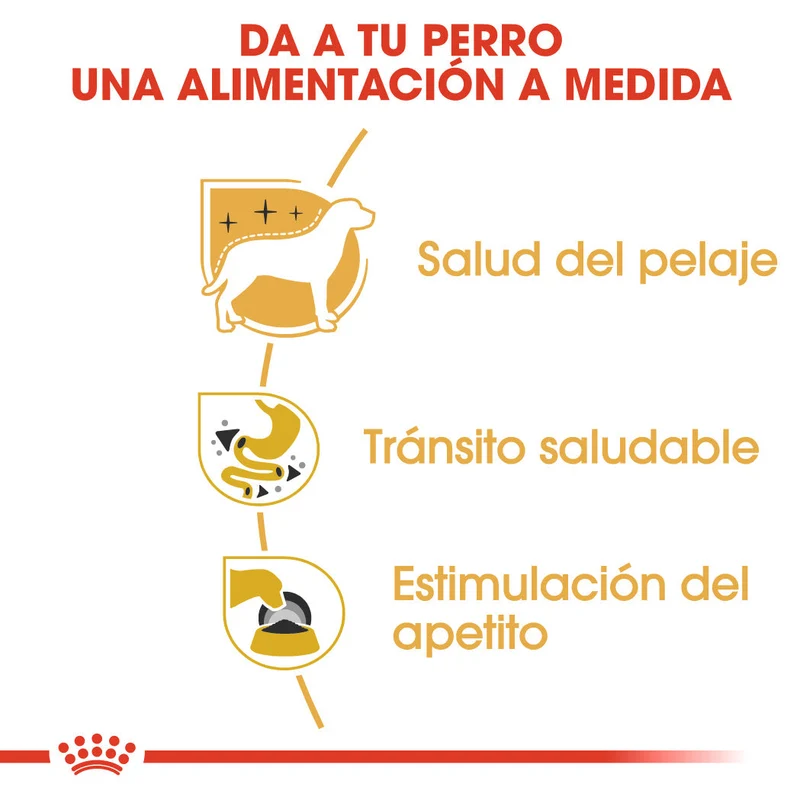 Royal Canin Chihuahua Paté Adulto 85 g Comida Húmeda para Perros