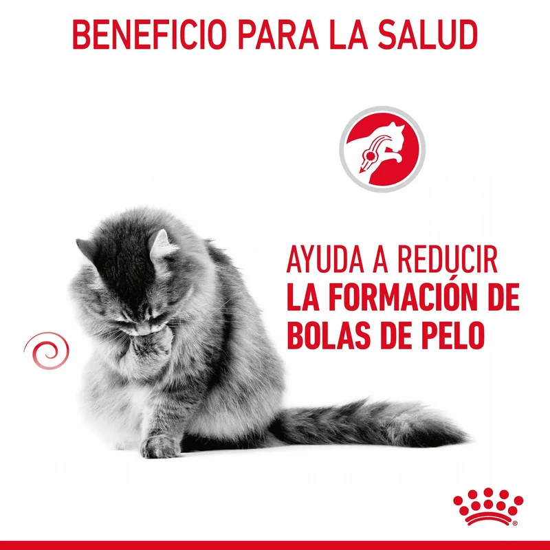 Royal Canin Hairball Care Finas Láminas en Salsa 85 g Húmedo para Gatos