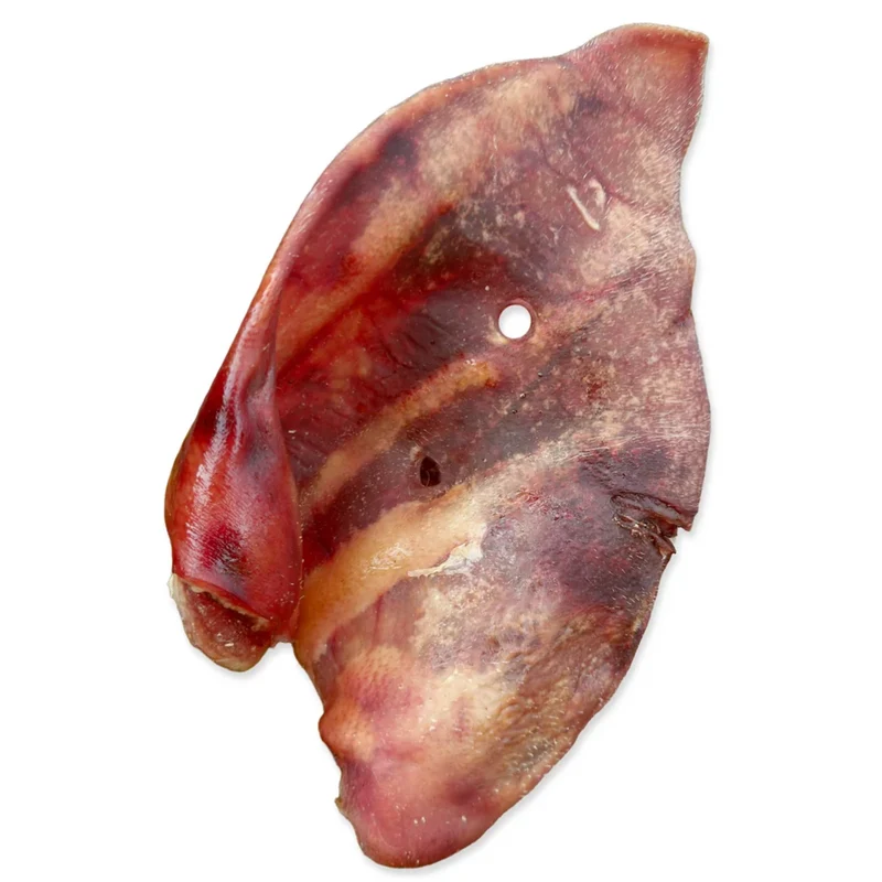 Hobbitalf Oreja de Cerda Extra Xxl Blister