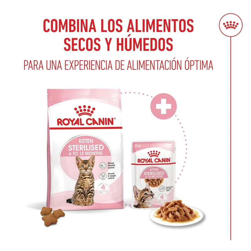 Royal Canin Kitten Sterilized Pienso para Gatitos Esterilizados