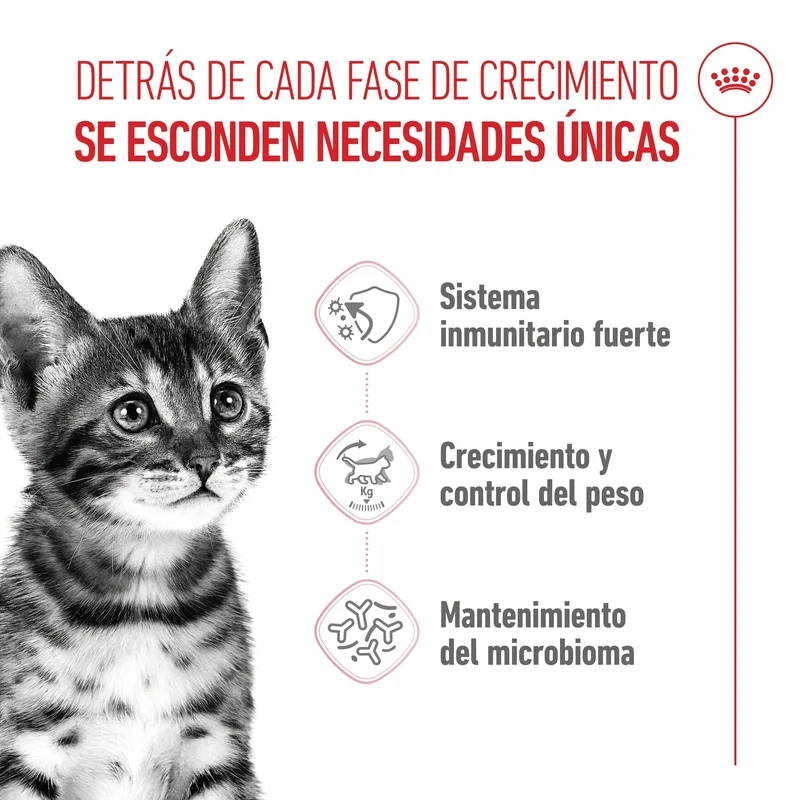 Royal Canin Kitten Sterilized Pienso para Gatitos Esterilizados