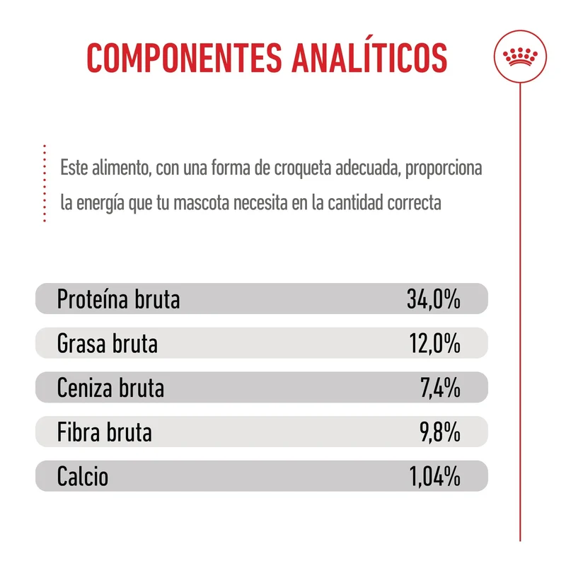 Royal Canin Kitten Sterilized Pienso para Gatitos Esterilizados