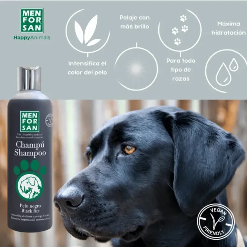 Menforsan Champú Pelo Negro 300 ml