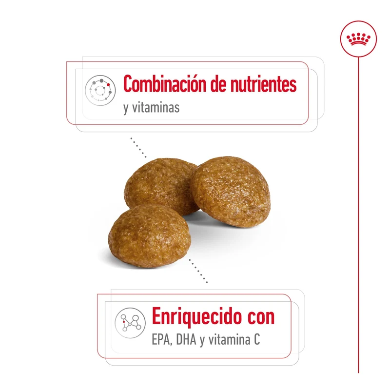 Royal Canin X-Small 8+ Pienso para Perros