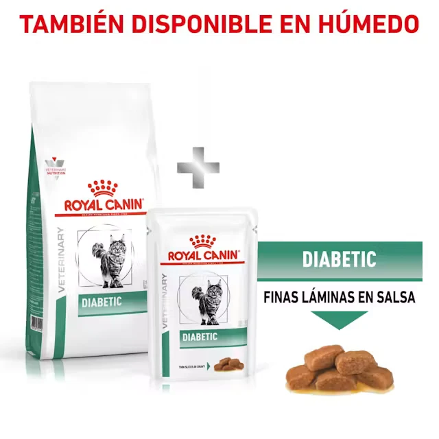 Royal Canin Veterinary Diabetic Pienso para Gatos Diabéticos