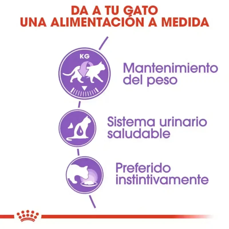Royal Canin Sterilized Paté 85 g Comida Húmeda para Gatos