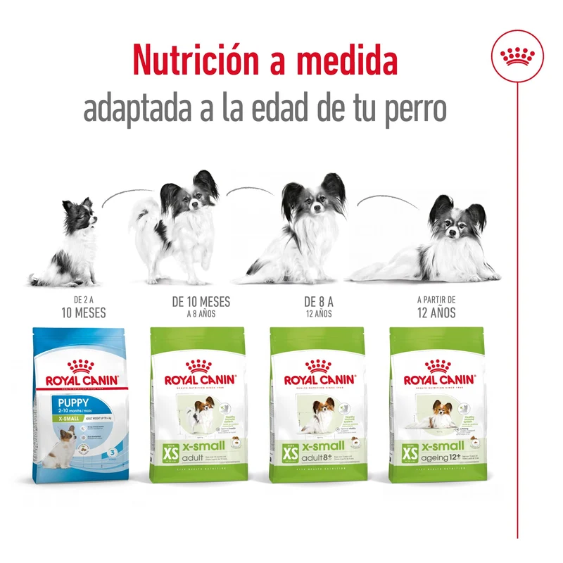 Royal Canin X-Small Ageing 12+ Pienso para Perros Senior