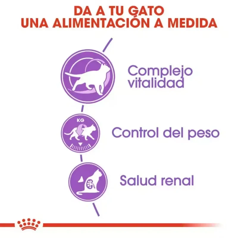 Royal Canin Sterilized 7+ Pienso para Gatos Esterlizados