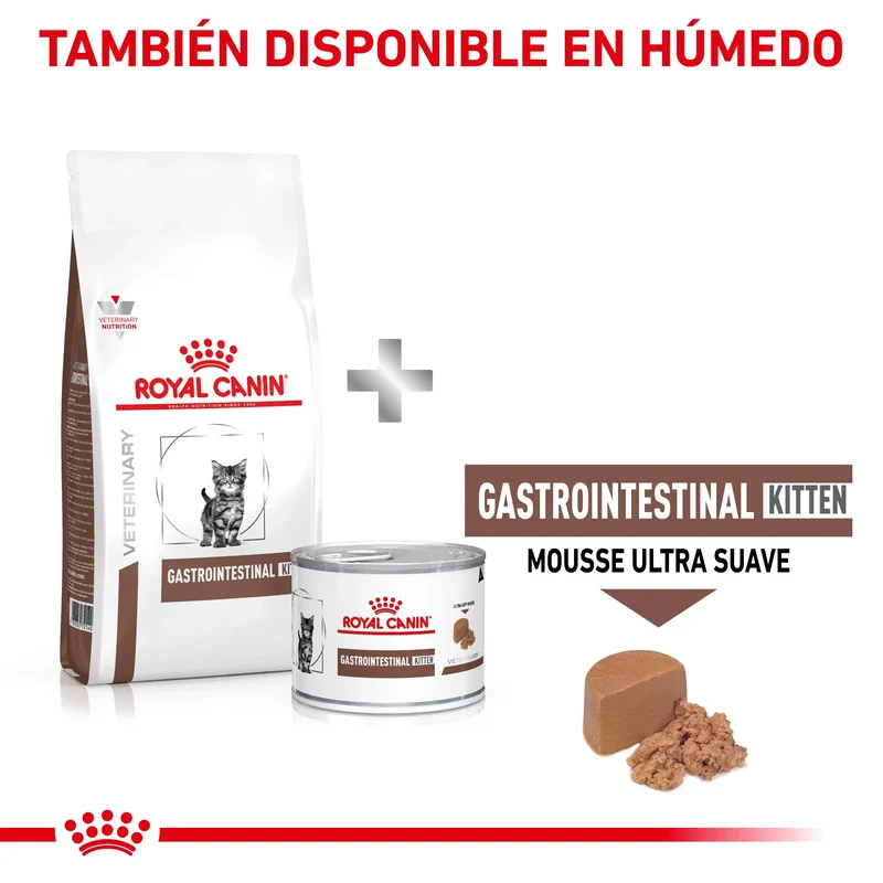 Royal Canin Veterinary Gastrointestinal Kitten Pienso Digestivo para Gatitos