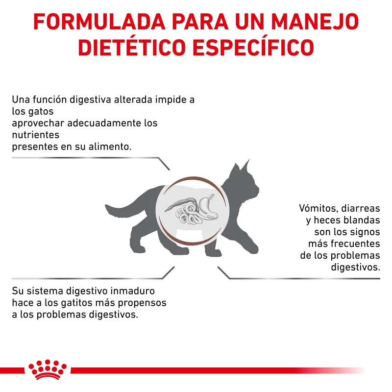 Royal Canin Veterinary Gastrointestinal Kitten Pienso Digestivo para Gatitos