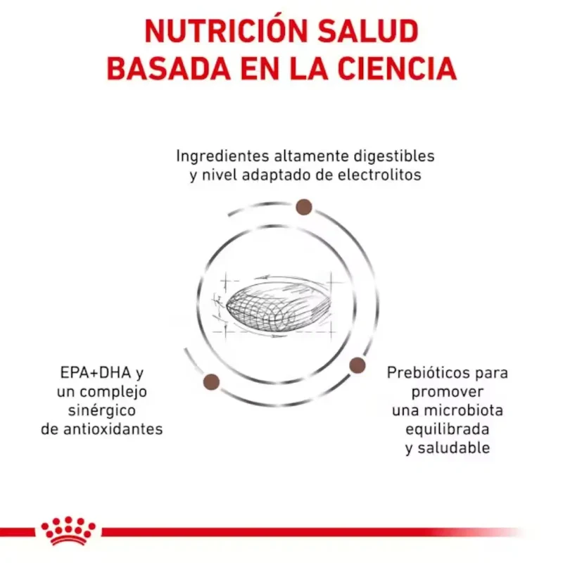Royal Canin Perro Gastrointestinal Low Fat