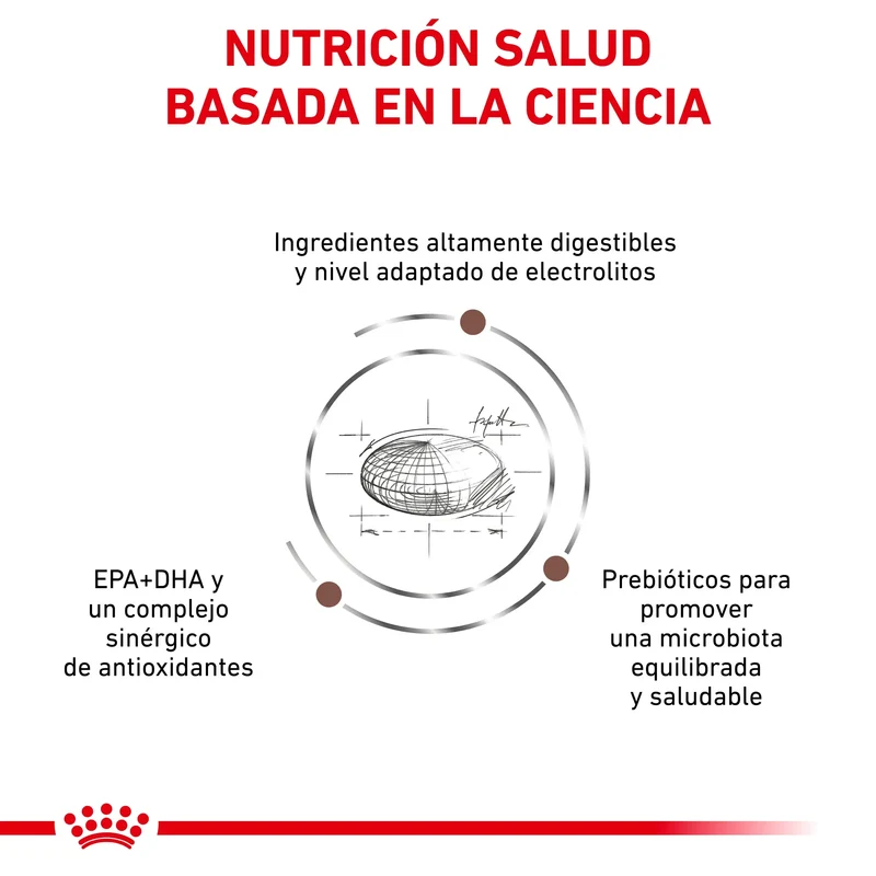 Royal Canin Veterinary Gastroinstestinal Moderate Calorie Pienso para Gatos