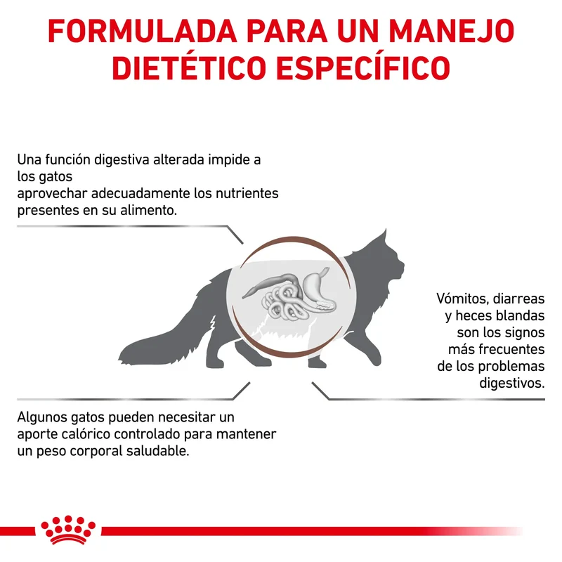Royal Canin Veterinary Gastroinstestinal Moderate Calorie Pienso para Gatos