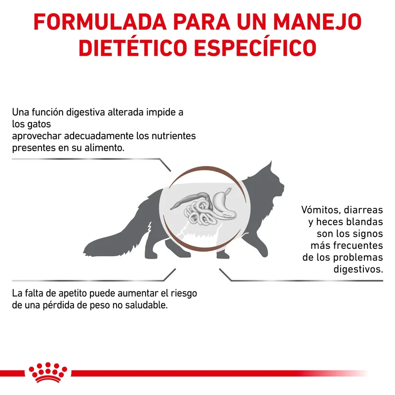 Royal Canin Veterinary Gastrointestinal Pienso para Gatos
