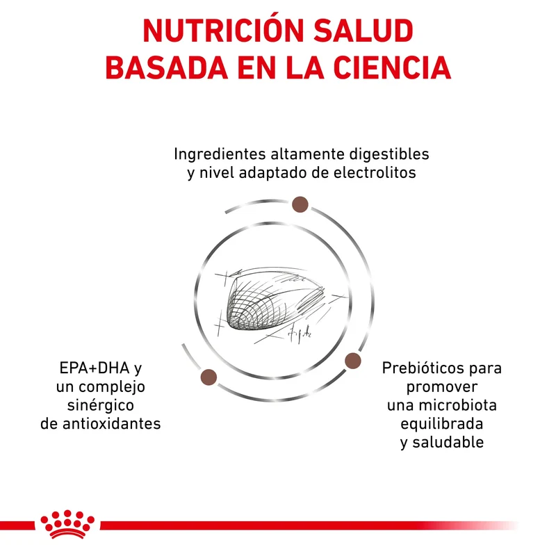 Royal Canin Veterinary Gastrointestinal Pienso para Gatos