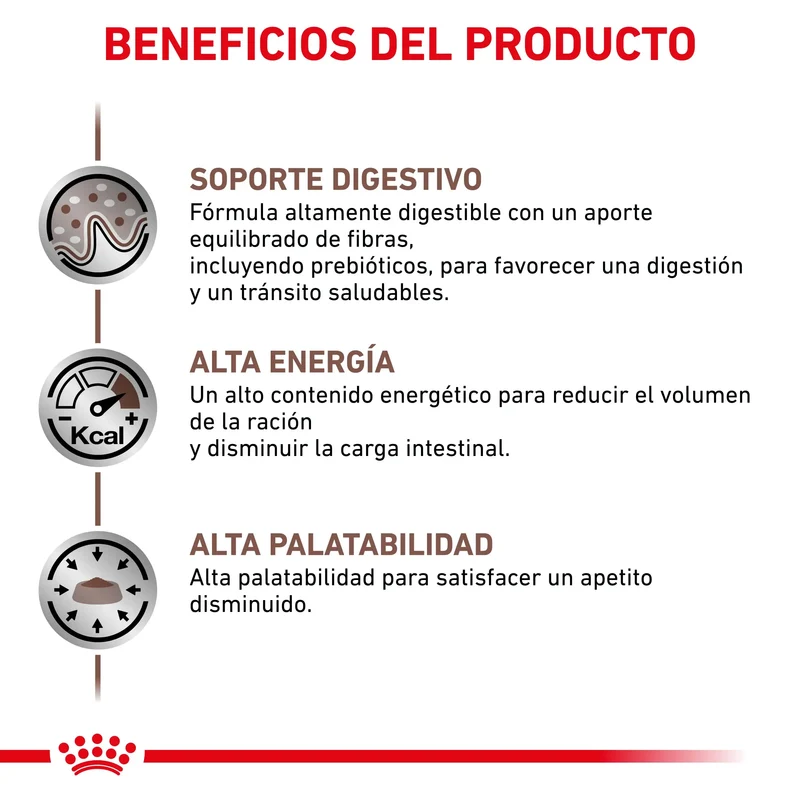 Royal Canin Veterinary Gastrointestinal Pienso para Gatos