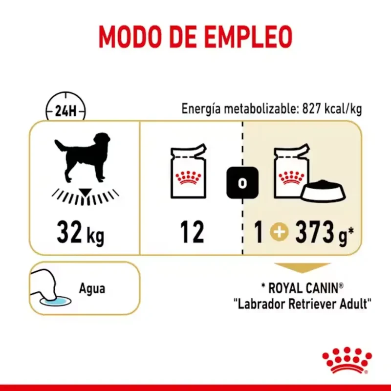Royal Canin Labrador Paté Adulto 140 g Comida Húmeda para Perros