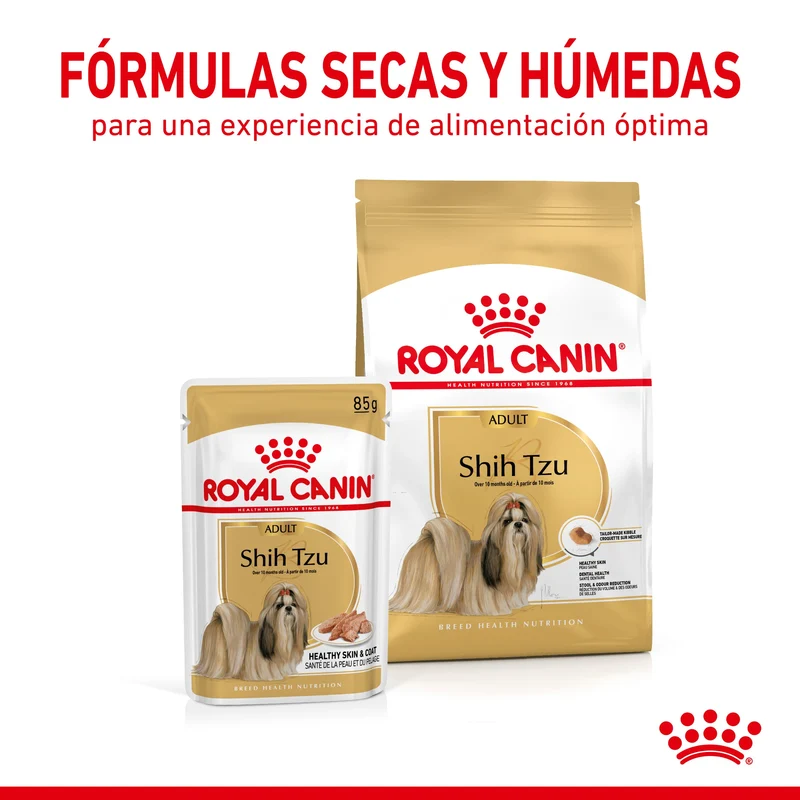 Royal Canin Shih Tzu Paté Adulto 85 g Comida Húmeda para Perros