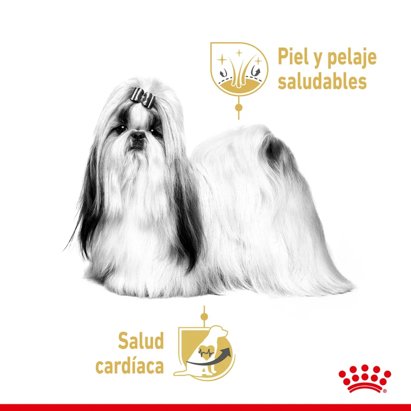 Royal Canin Shih Tzu Paté Adulto 85 g Comida Húmeda para Perros
