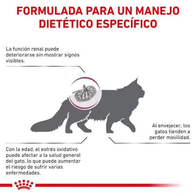 Royal Canin Veterinary Early Renal 1,5 kg Pienso para Gato