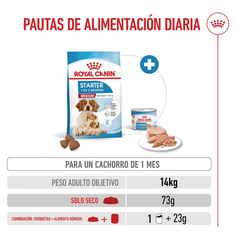 Royal Canin Medium Starter Mother & Babydog Pienso para Cachorros y Madres Lactantes