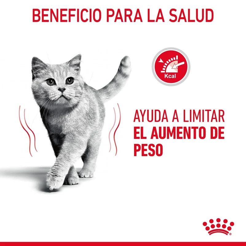 Royal Canin Light Weight Care Pienso para Gatos