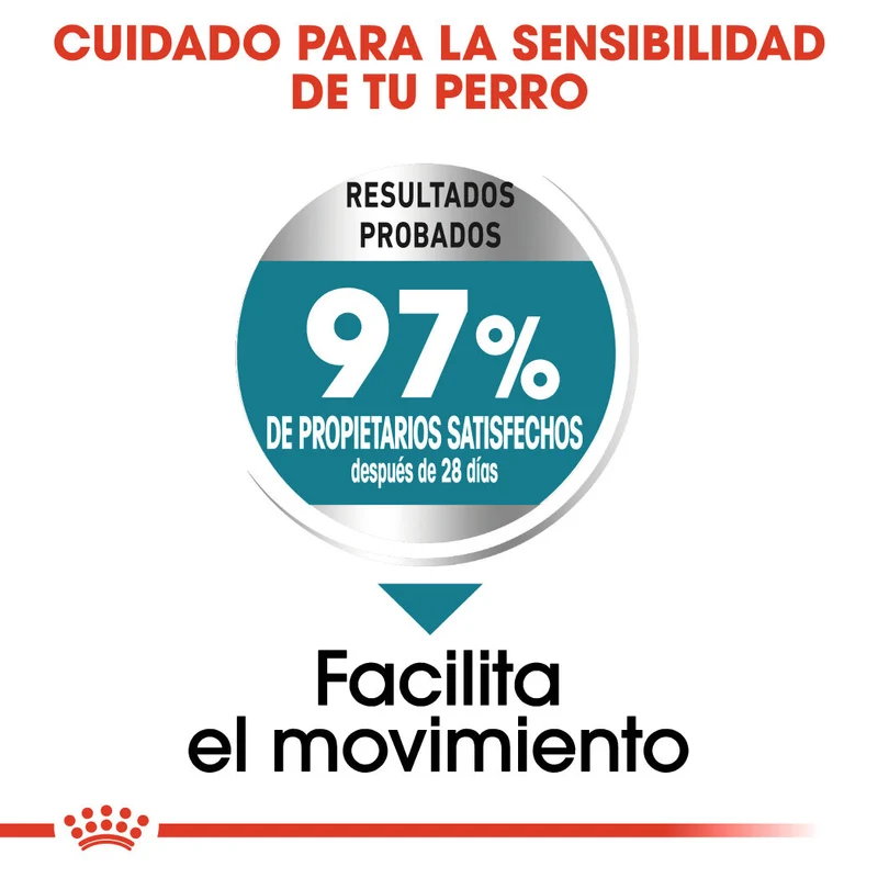 Royal Canin Maxi Joint Care Pienso para Perros