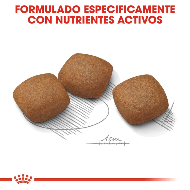 Royal Canin Maxi Joint Care Pienso para Perros