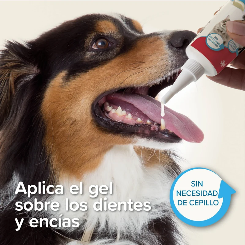 Beaphar Gel Dental para Perros y Gatos 100 g