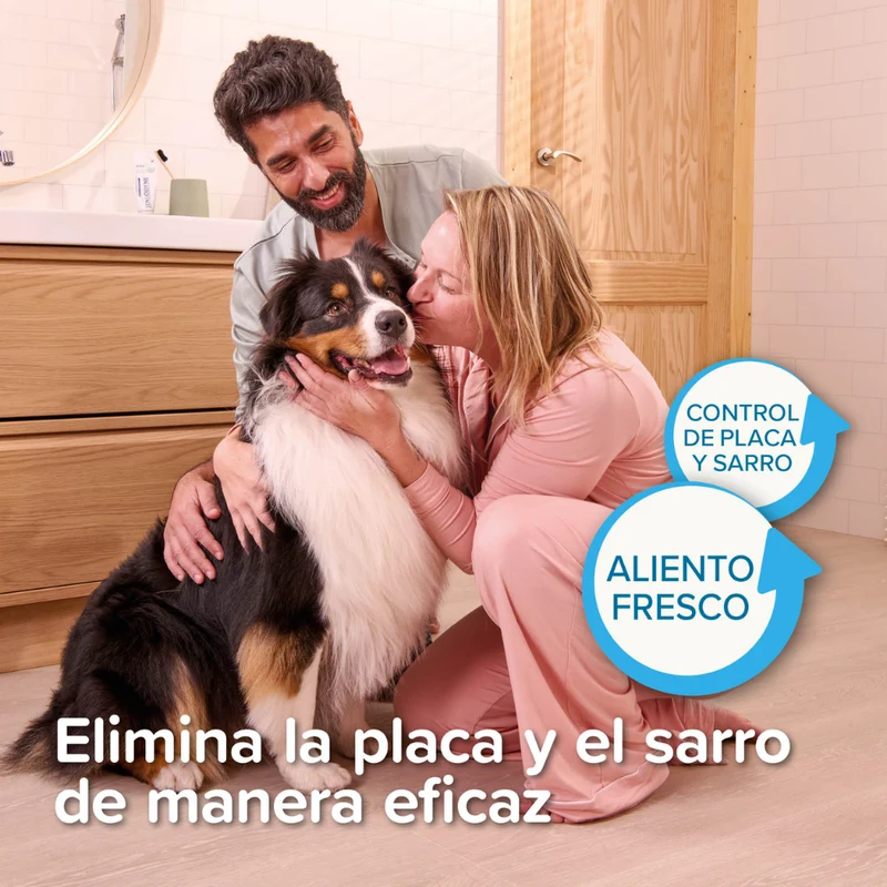 Beaphar Gel Dental para Perros y Gatos 100 g