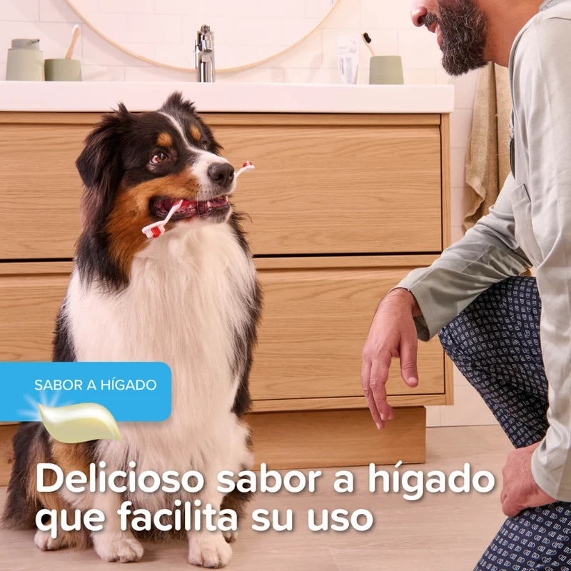 Beaphar Gel Dental para Perros y Gatos 100 g