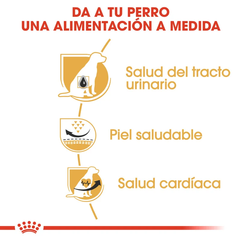 Royal Canin Dálmata Pienso para Perros Adultos de Raza 12 kg