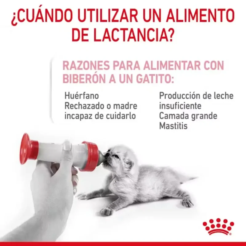 Royal Canin Babycat Milk 300 g Kit Leche en Polvo para Gatitos
