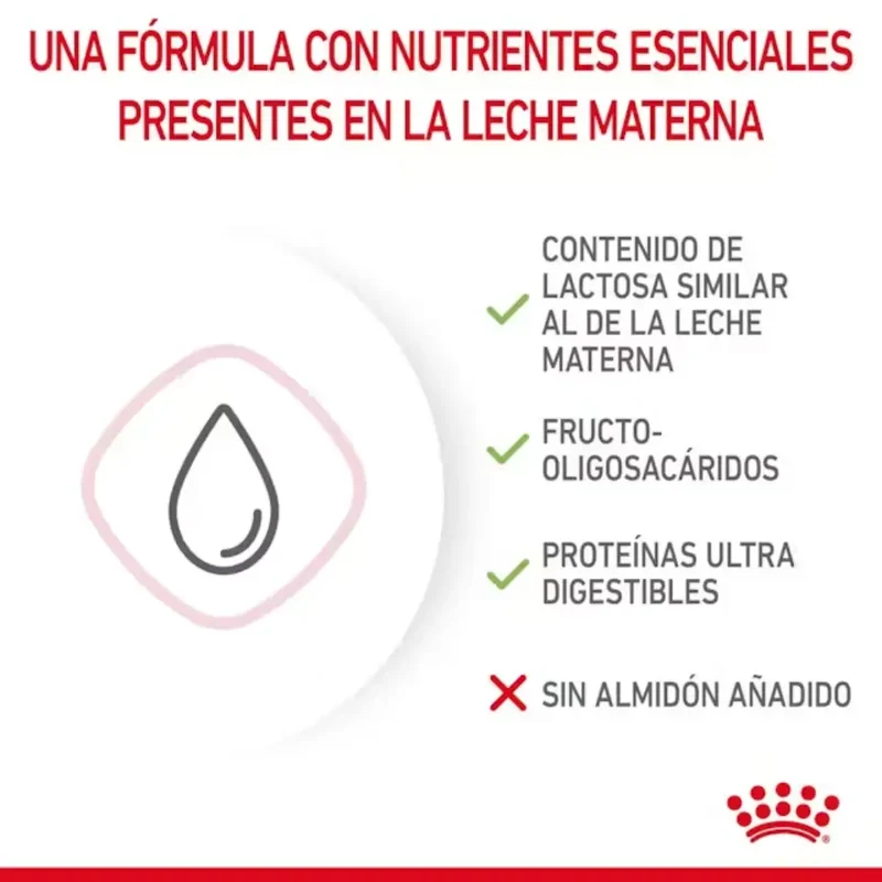 Royal Canin Babycat Milk 300 g Kit Leche en Polvo para Gatitos