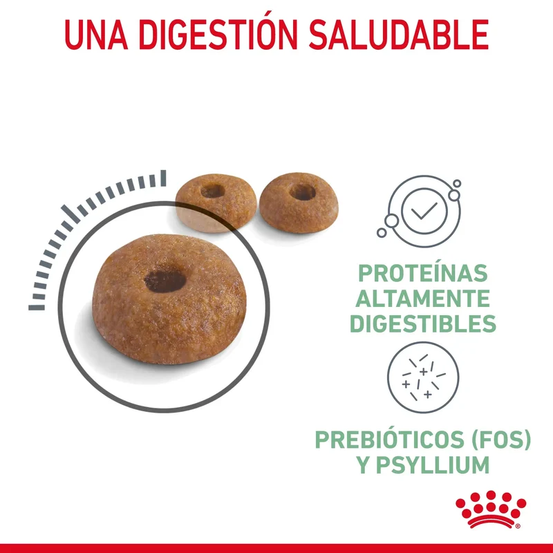 Royal Canin Digestive Care Pienso para Gatos