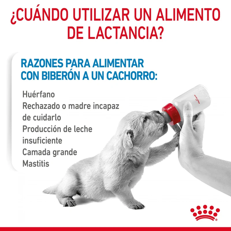 Royal Canin Babydog Milk Leche en Polvo para Cachorros