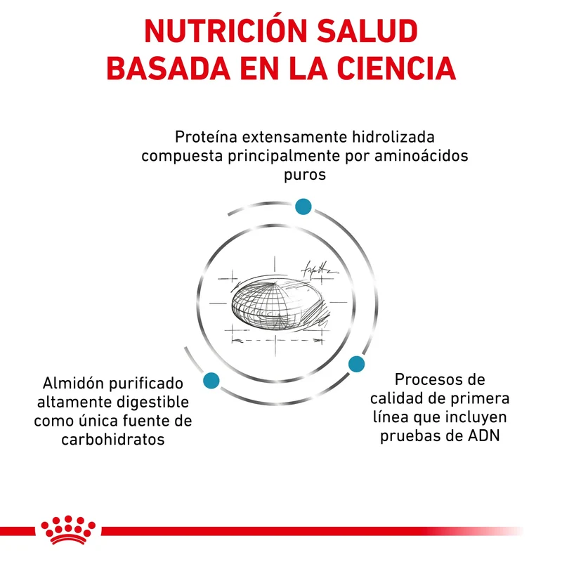 Royal Canin Veterinary Anallergenic | Pienso Veterinario para Gatos con Intolerancias y Alergias Alimentarias