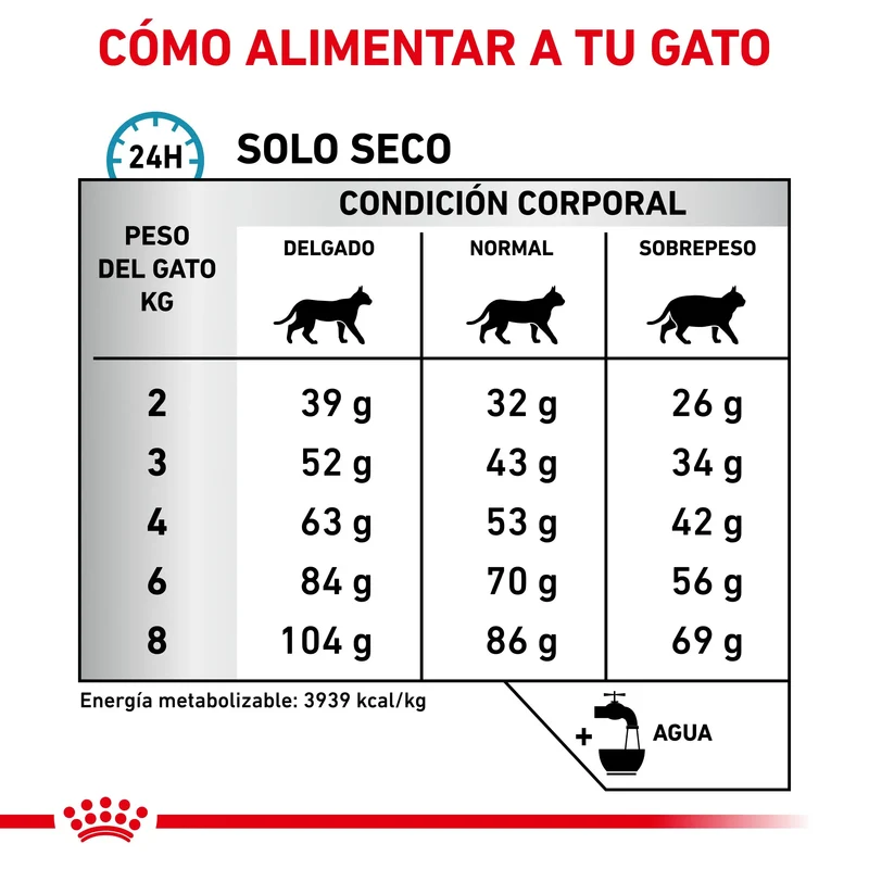 Royal Canin Veterinary Anallergenic | Pienso Veterinario para Gatos con Intolerancias y Alergias Alimentarias