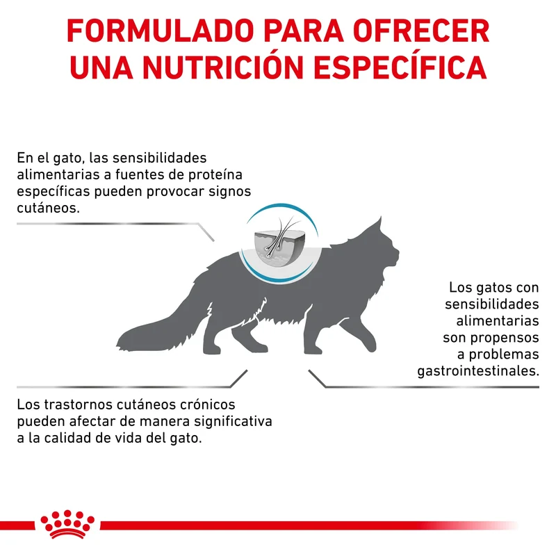Royal Canin Veterinary Anallergenic | Pienso Veterinario para Gatos con Intolerancias y Alergias Alimentarias