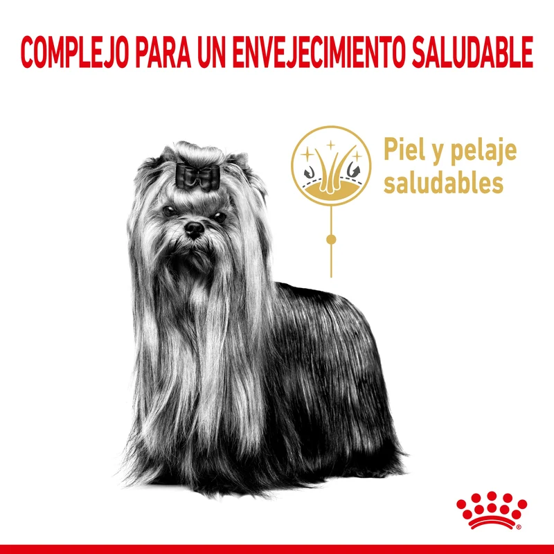 Royal Canin Yorkshire Terrier Ageing 8+ Pienso para Perros de Raza