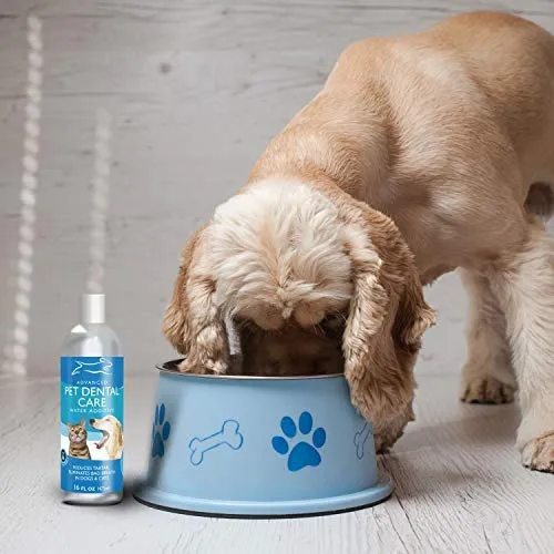 Emmy's Best Premium - Ambientador para perros y gatos, tratamiento aditivo de agua para mascotas avanzado, sin cepillado para eliminar la placa, el sarro y mejorar el mal aliento