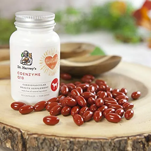 Dr. Harvey's Coenzyme Q10 Dog & Cat Supplement