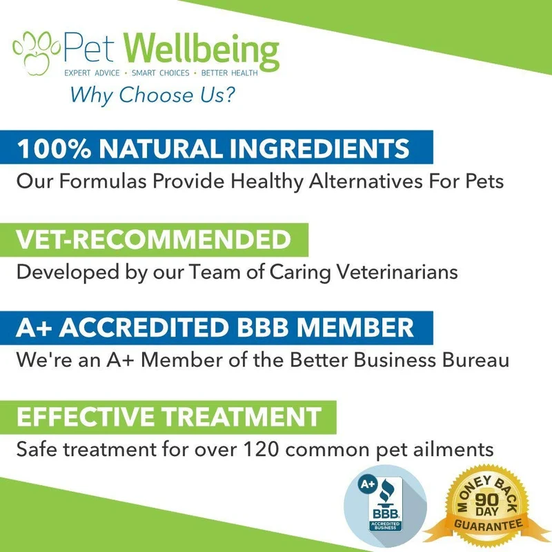 Pet bienestar – Cardo de Leche para gatos – Natural apoyo para la salud Feline Hígado – 2OZ (59ml)