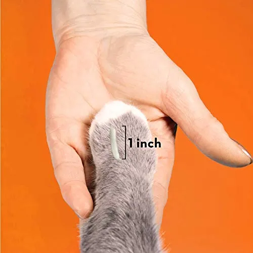 ThunderWunders Gato Calming Paw Gel