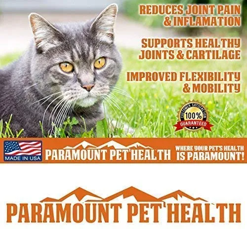 Paramount mascota salud líquido Glucosamina para gatos | Gato cadera y suplemento líquido las articulaciones con glucosamina condroitina MSM y taurina | Fabricado en EE. UU.