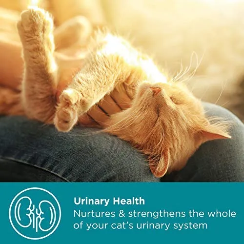 Maxxicat - MaxxiUtract Urinary and Bladder Supplement for Cats - Ayuda a prevenir la recurrencia UTI, soporta el control de la vejiga de línea y el sistema de tracto urinario Salud - Cranberry Formula Powder 2.1 oz