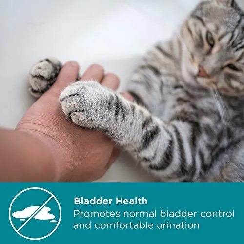 Maxxicat - MaxxiUtract Urinary and Bladder Supplement for Cats - Ayuda a prevenir la recurrencia UTI, soporta el control de la vejiga de línea y el sistema de tracto urinario Salud - Cranberry Formula Powder 2.1 oz