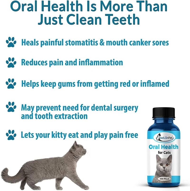 Oral Health for Cats Dental Treatment - Natural Stomatitis and Gingivitis Solution is Highly Effective for Feline Mouth Issues Including Tartar and Inflammed Gums - Easy to Use (450 pills)