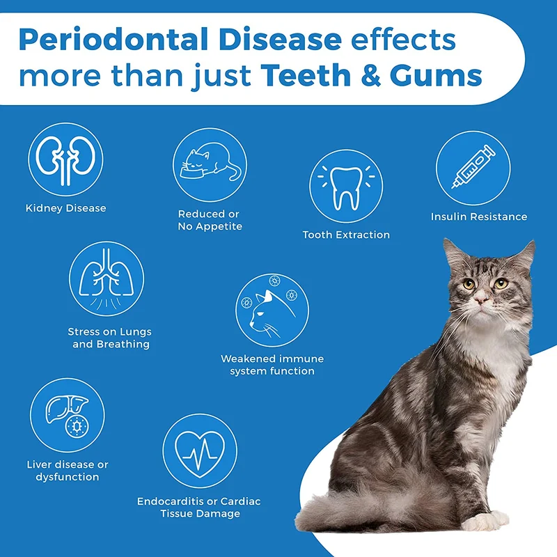 Oral Health for Cats Dental Treatment - Natural Stomatitis and Gingivitis Solution is Highly Effective for Feline Mouth Issues Including Tartar and Inflammed Gums - Easy to Use (450 pills)